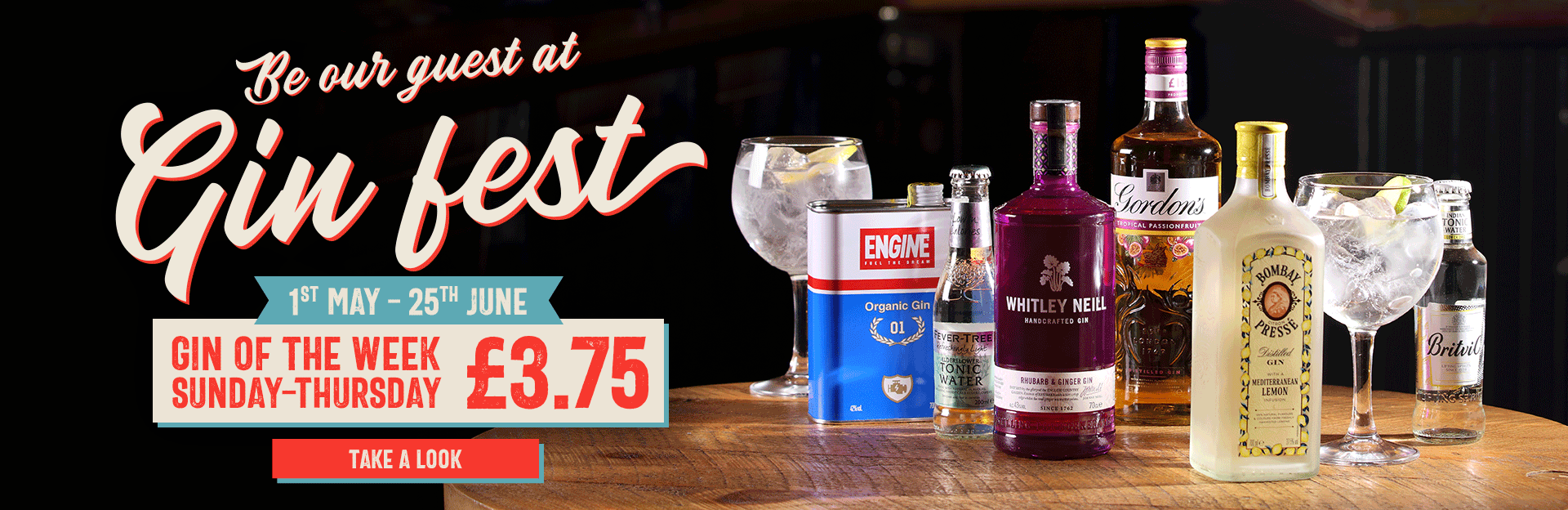 Gin Fest at The Golden Lion